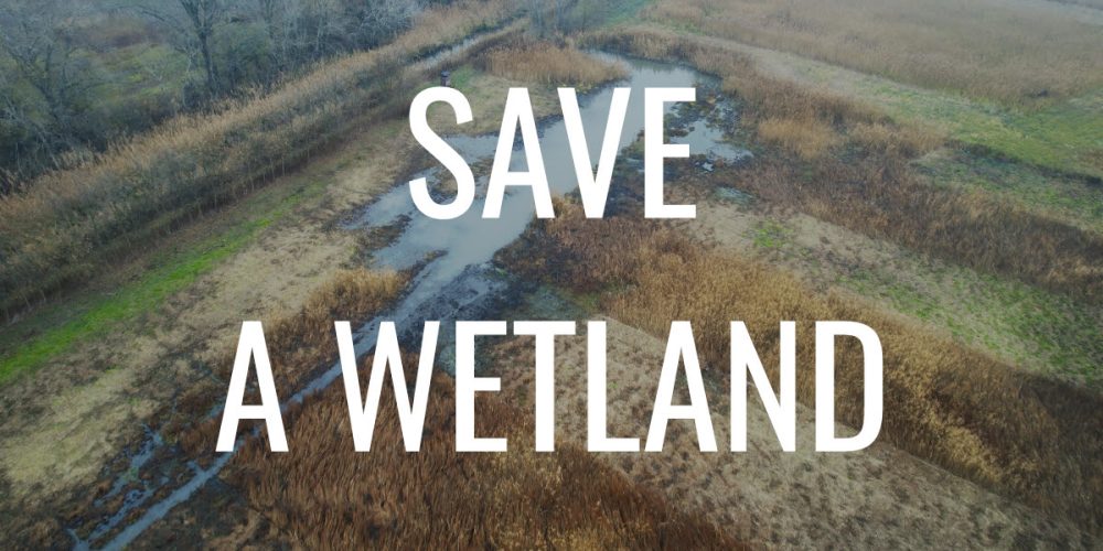 Help Save a Key Wetland in Slovakia!
