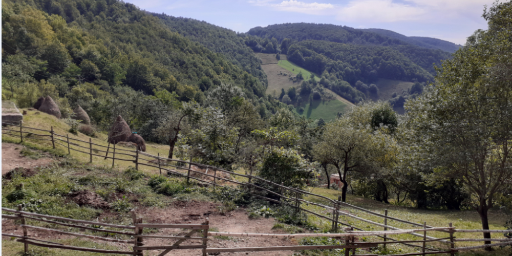 The Future of Small Scale Farming in Romania