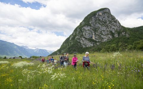 SLOVENIA: Wildflowers, Alpine Management & Heritage Tourism