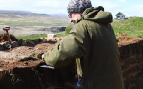 ICELAND: turf building, cultural context & practical skills training