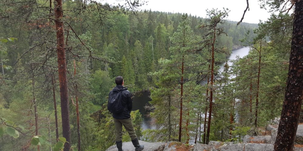 FINLAND: Forestry Education, Practice & Conservation