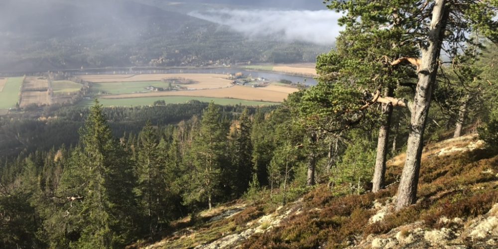 Norway: Wildlife, Carnivore and Human Management