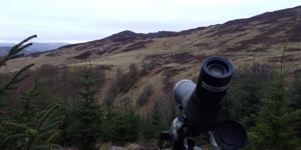 Grouse Surveys in Norway and Scotland – 2017