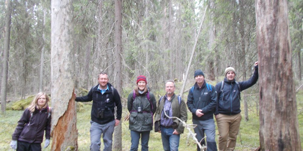 Forestry in Finland – 2nd-9th May 2015
