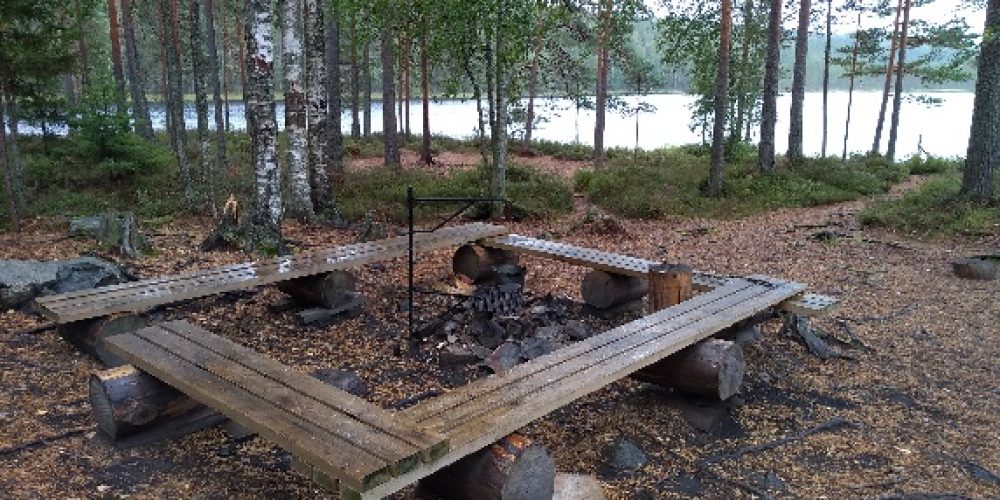 A Tale of Two Forests – Comparing Forests and Conservation in Finland and Scotland