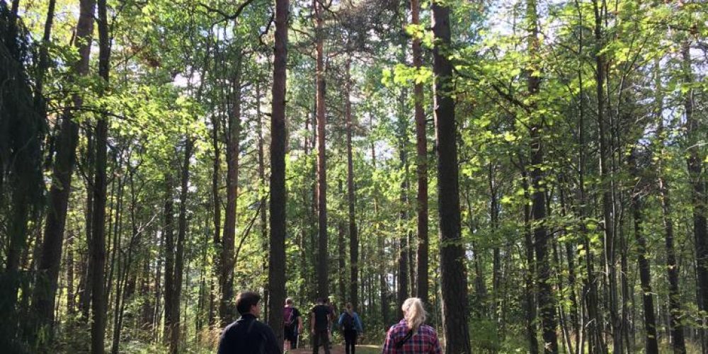 Finland, Forest & Friends 2019: a film report