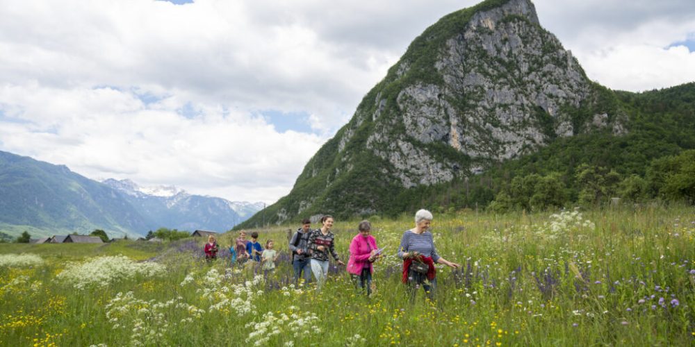 SLOVENIA: Wildflowers, Alpine Management & Heritage Tourism