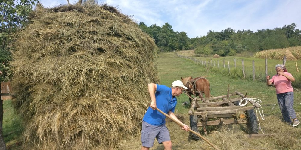 Scything and Wildlife Management; Ideas from the current situation in Romania and the proposed actions to follow