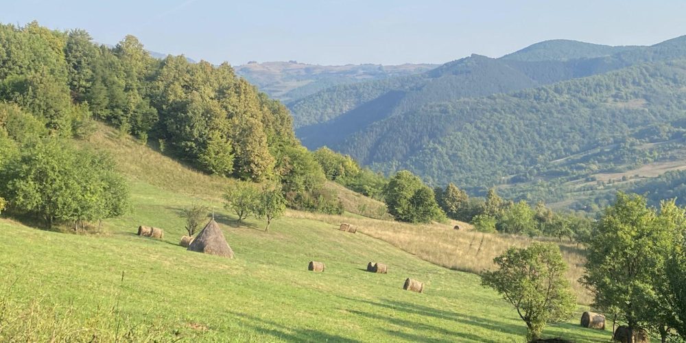Romania: Historical Background to Land in Transilvania